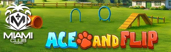 aceandflip